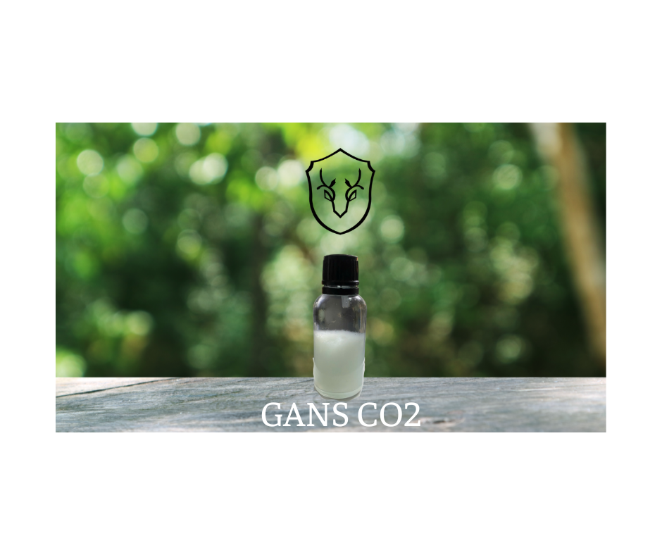 GANS CO₂